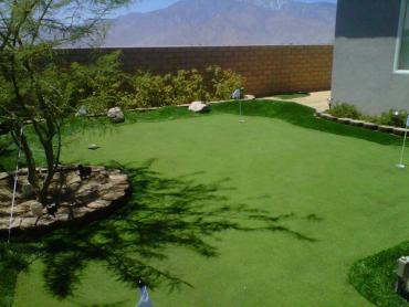 Artificial Grass Photos: Synthetic Pet Turf Mettler California Back and Front Yard